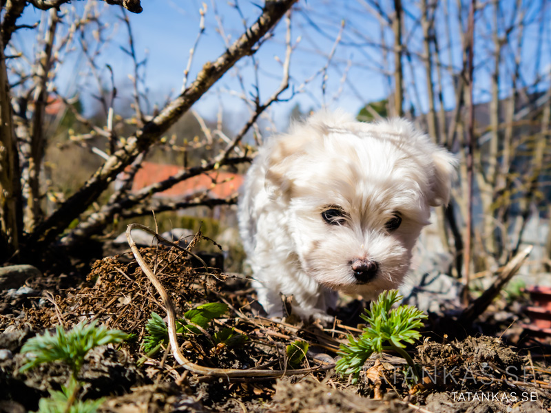 Socker på upptäcktsfärd