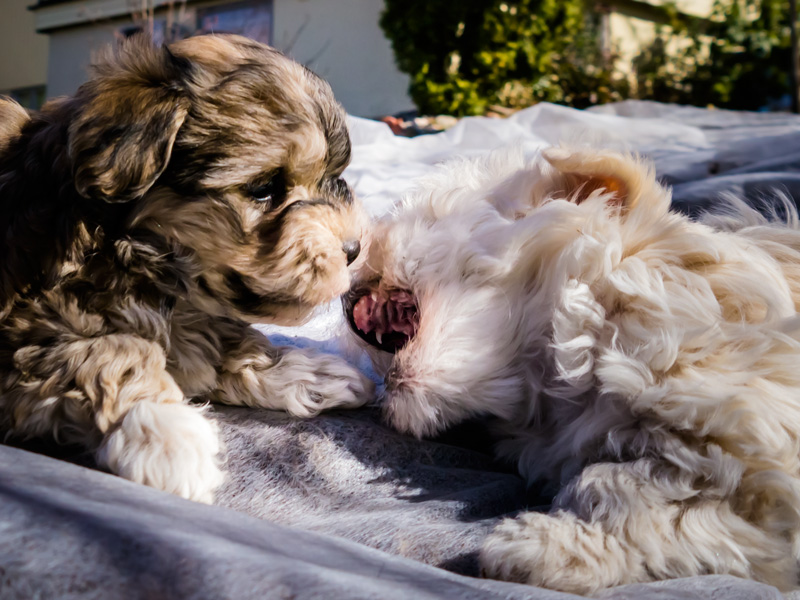 Ibland får man säga ifrån