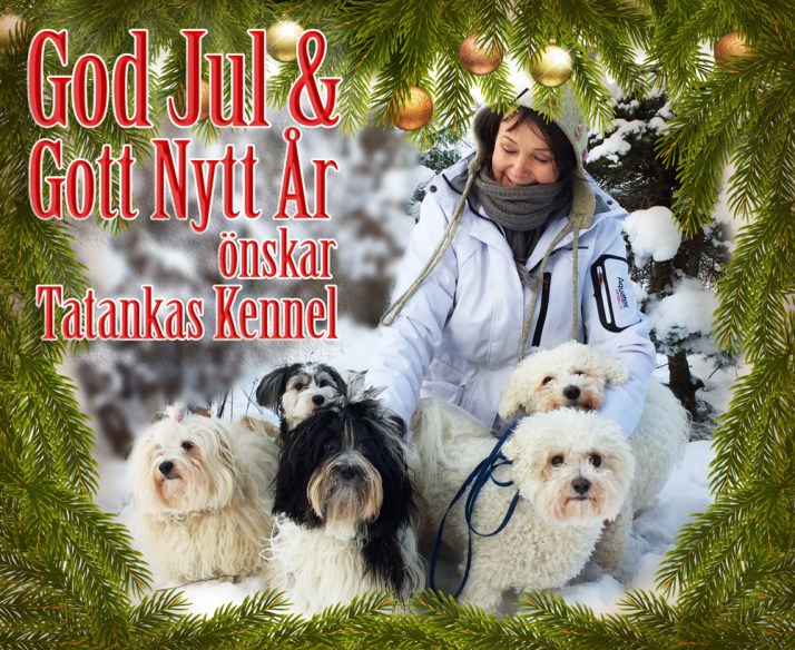 godjul2016