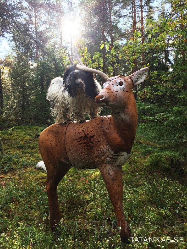Näva på skulptur av ett rådjur