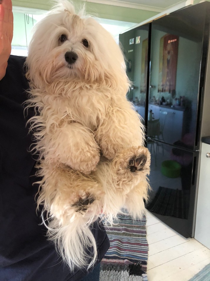 Fredde gillar att sitta i famnen på lill-matte