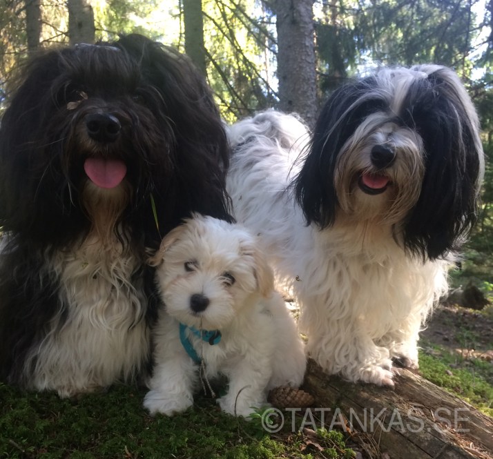 Kela står i mitten mellan simn mamma och pappa